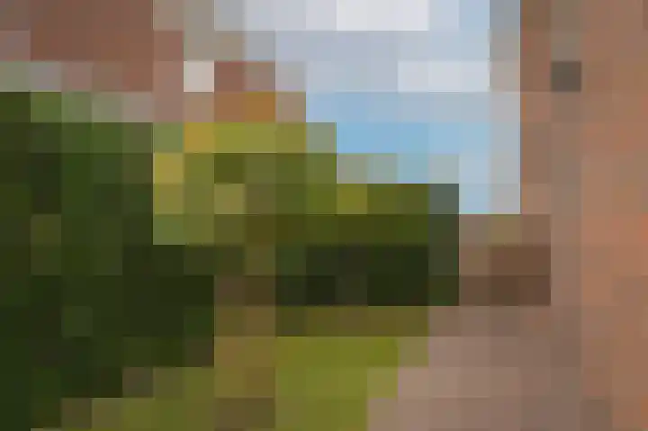 Doornroosjestraat 13 Druten thumbnail 47