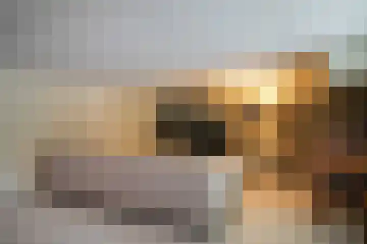 Doornroosjestraat 13 Druten thumbnail 52