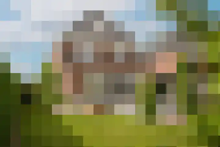 Doornroosjestraat 13 Druten thumbnail 68