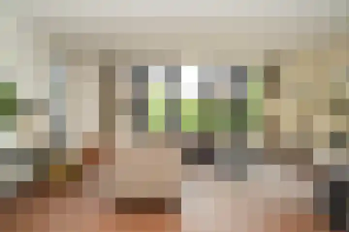 Doornroosjestraat 13 Druten thumbnail 7