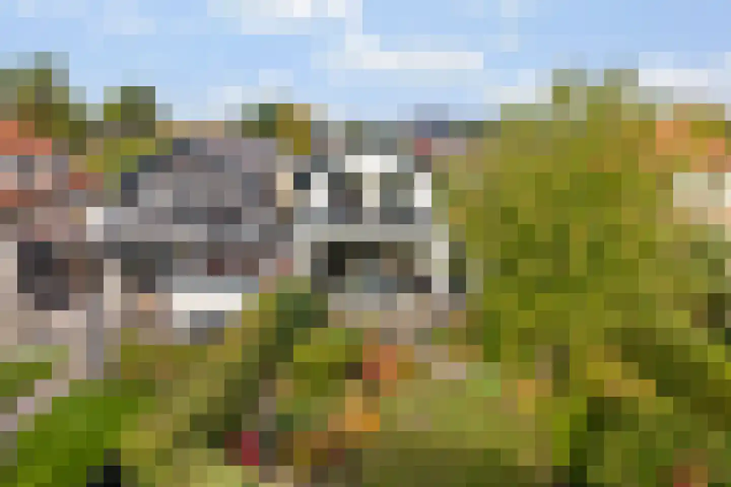 Doornseweg 31 a Langbroek thumbnail 29