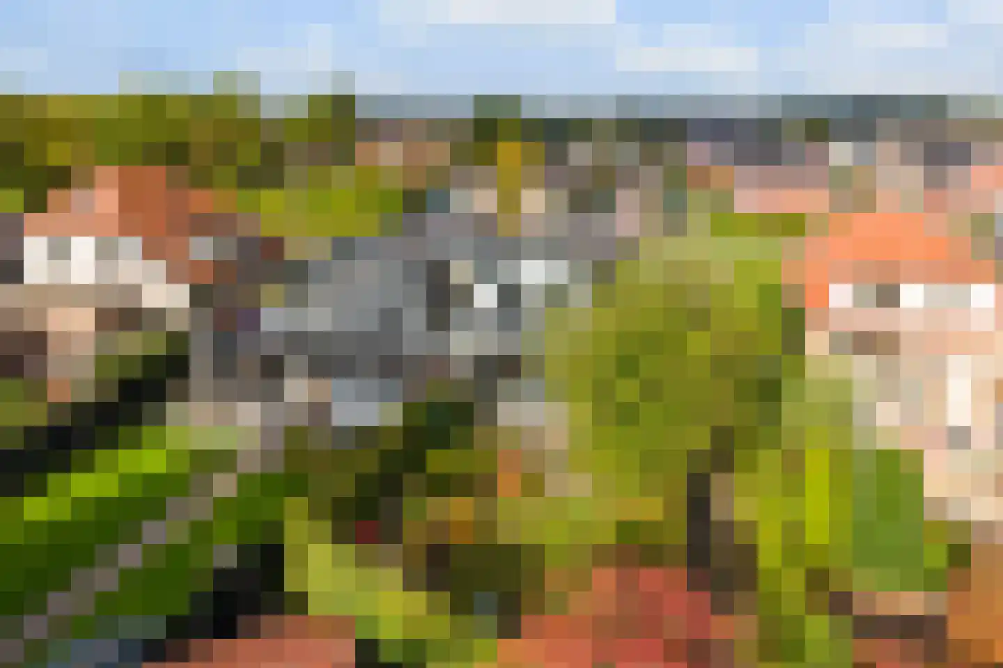 Doornseweg 31 a Langbroek thumbnail 37