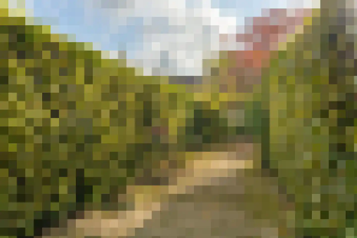 Doornseweg 31 a Langbroek thumbnail 41