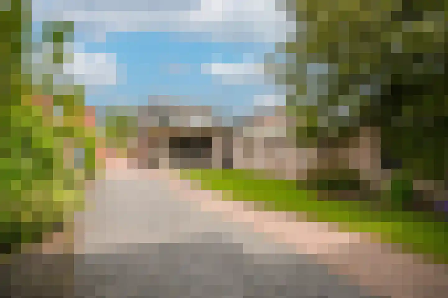 Doornseweg 39 Langbroek thumbnail 22
