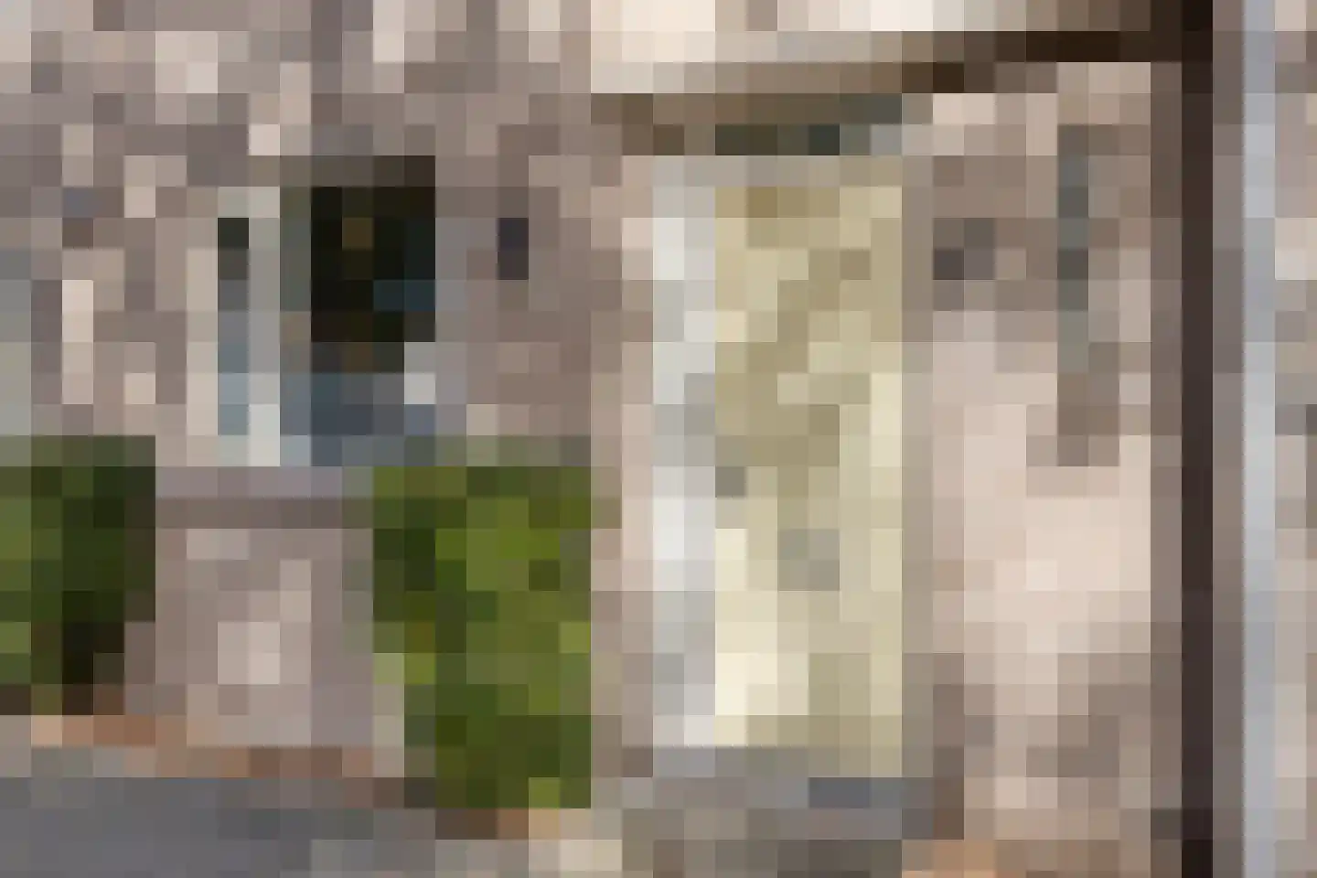 Doornsingel 11 Tilburg thumbnail 33