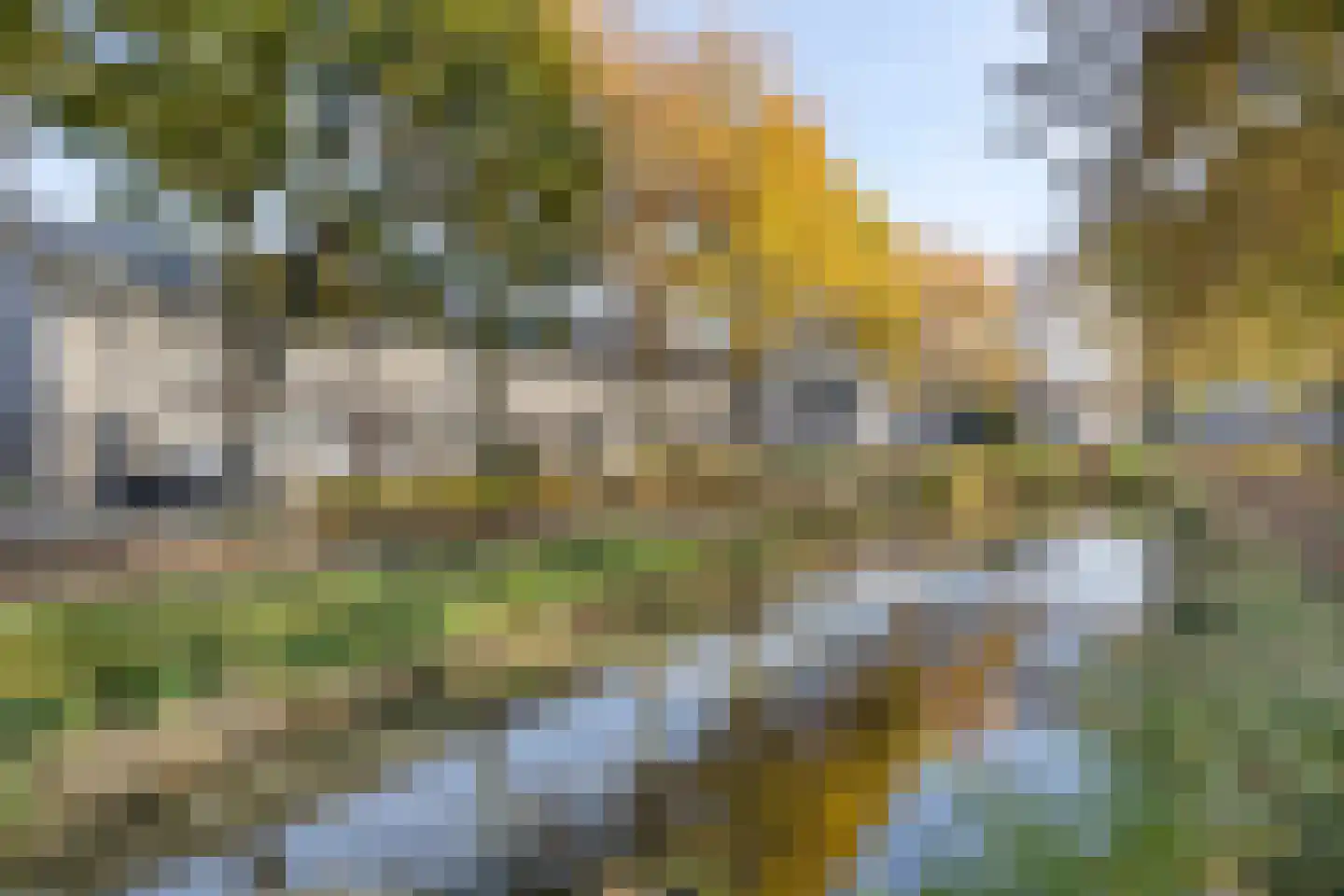 Doornsingel 11 Tilburg thumbnail 35