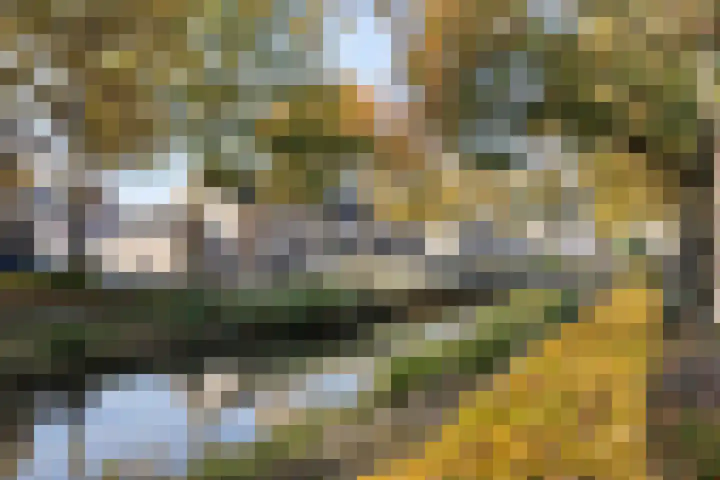 Doornsingel 11 Tilburg thumbnail 36