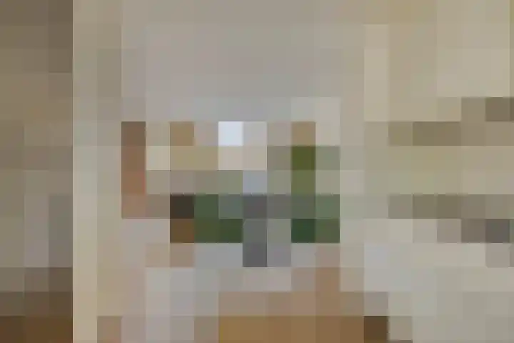 Doornsingel 37 Tilburg thumbnail 16