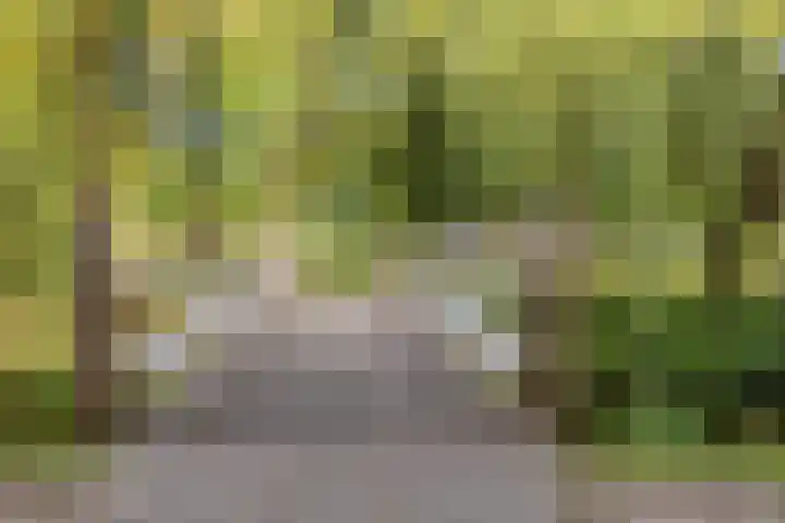 Doornsingel 37 Tilburg thumbnail 38