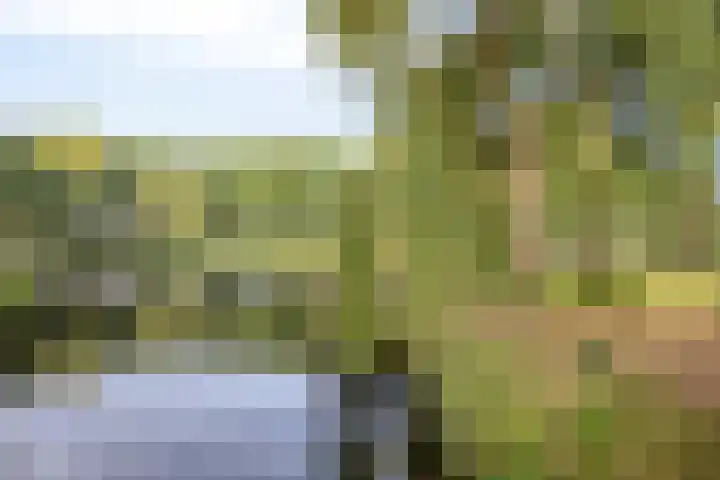 Doornsingel 37 Tilburg thumbnail 39