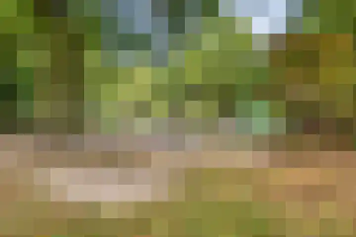 Doornsingel 37 Tilburg thumbnail 41