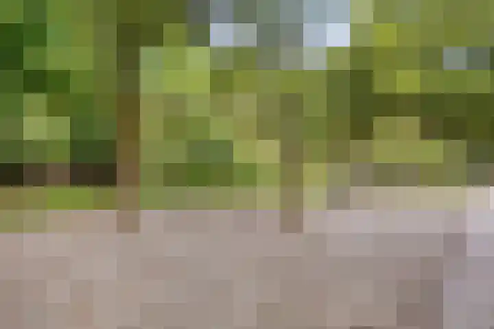 Doornsingel 37 Tilburg thumbnail 42
