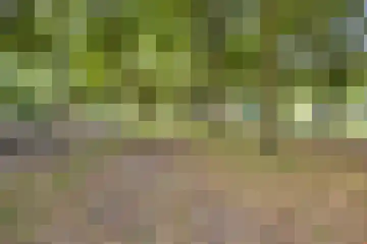 Doornsingel 37 Tilburg thumbnail 43