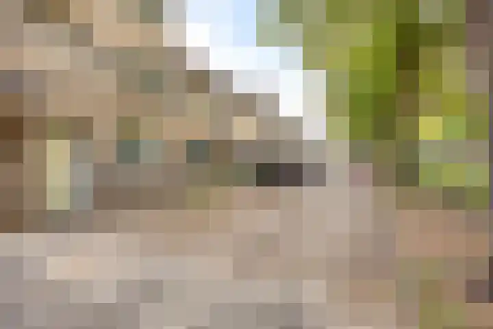 Doornsingel 37 Tilburg thumbnail 5