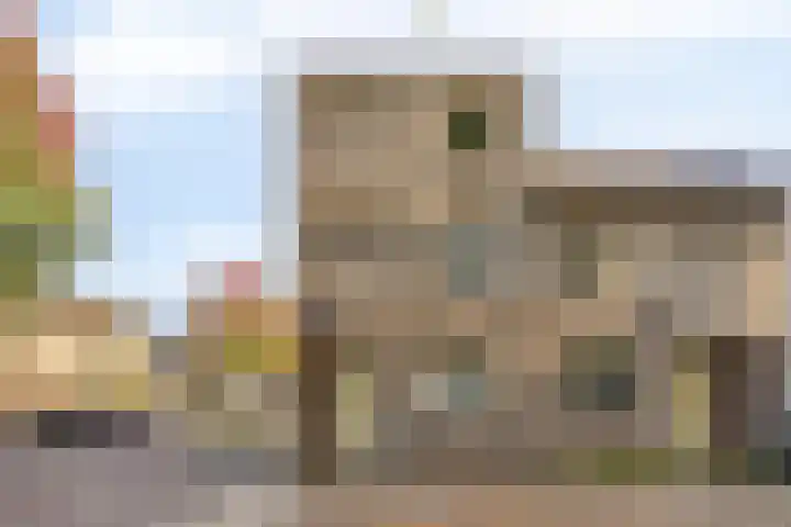 Doornsingel 37 Tilburg thumbnail 6