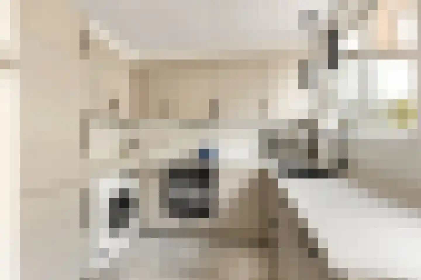 Doornstraat 2 Utrecht thumbnail 13
