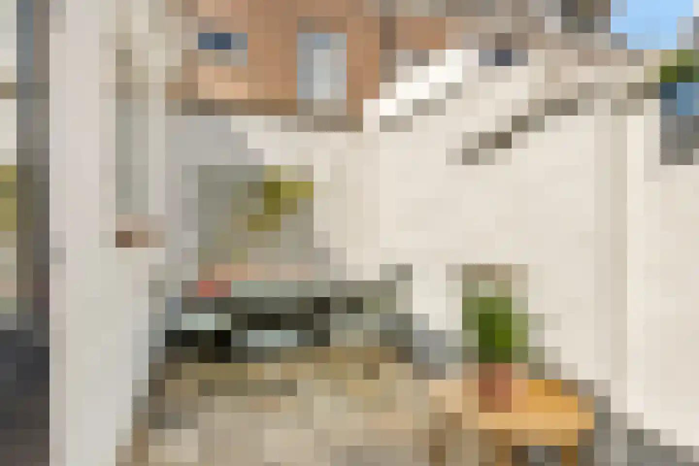 Doornstraat 2 Utrecht thumbnail 26