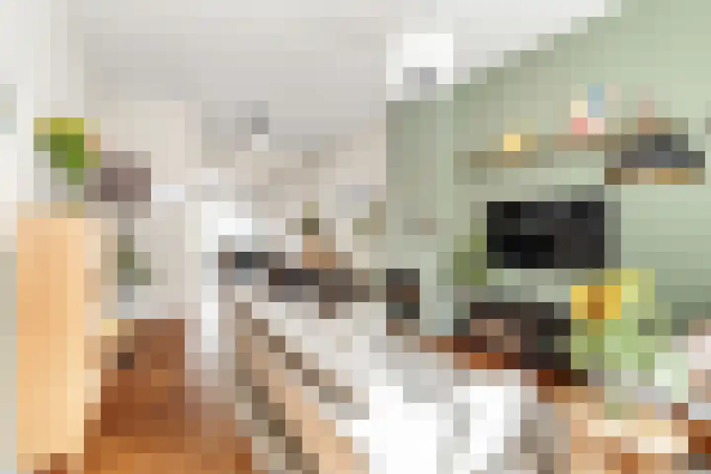 Doornstraat 2 Utrecht thumbnail 6