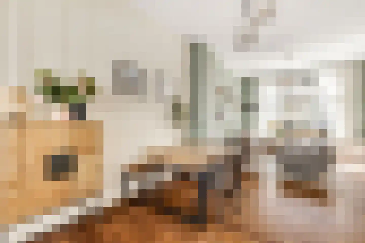 Doornstraat 2 Utrecht thumbnail 7