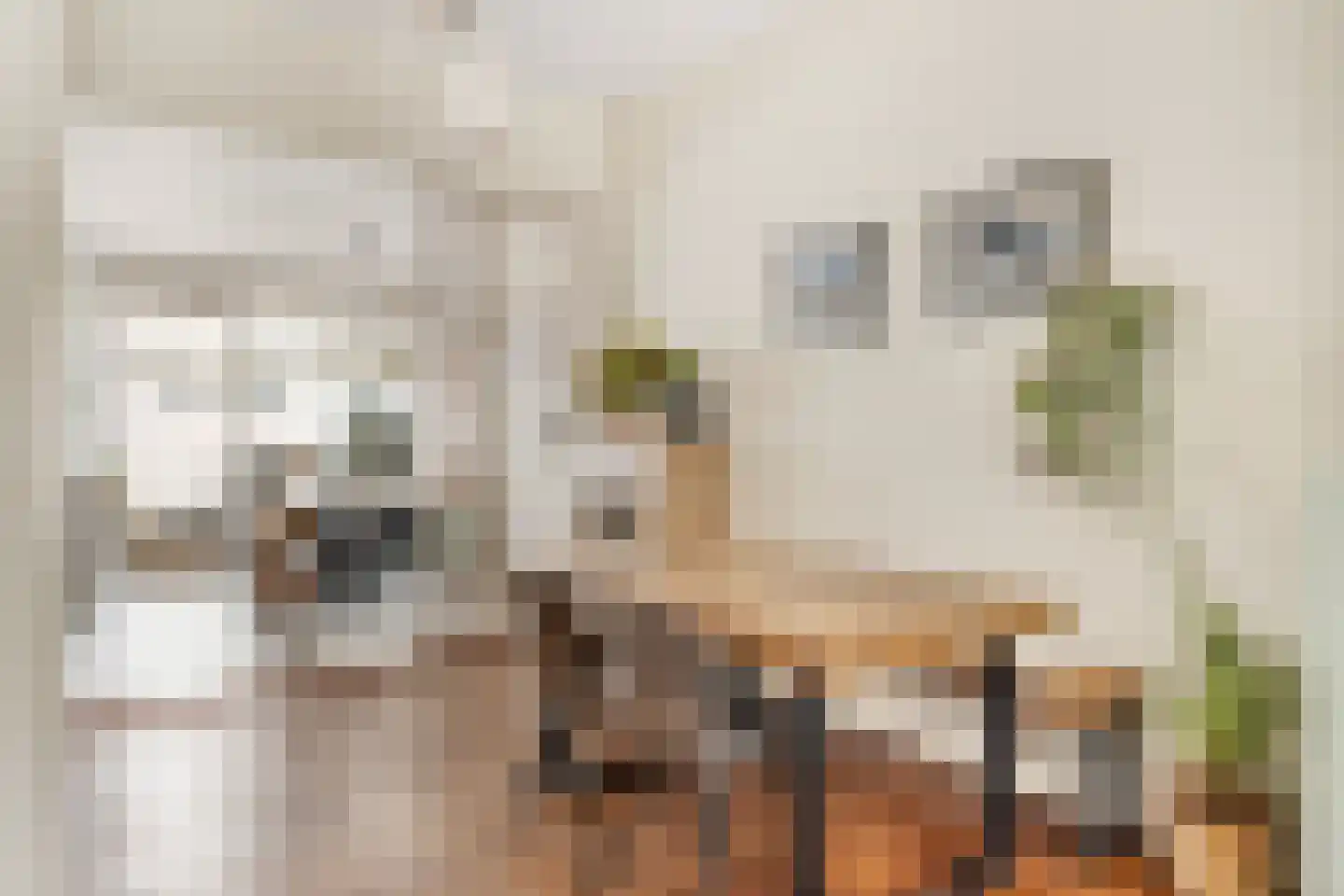 Doornstraat 2 Utrecht thumbnail 8
