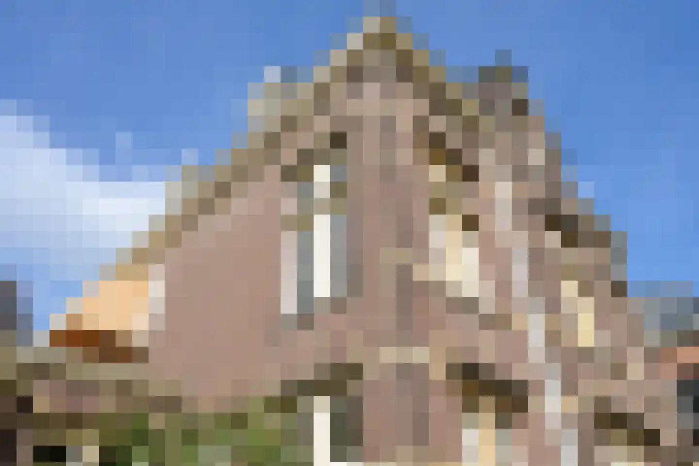 Doornstraat 3 Den Haag thumbnail 10