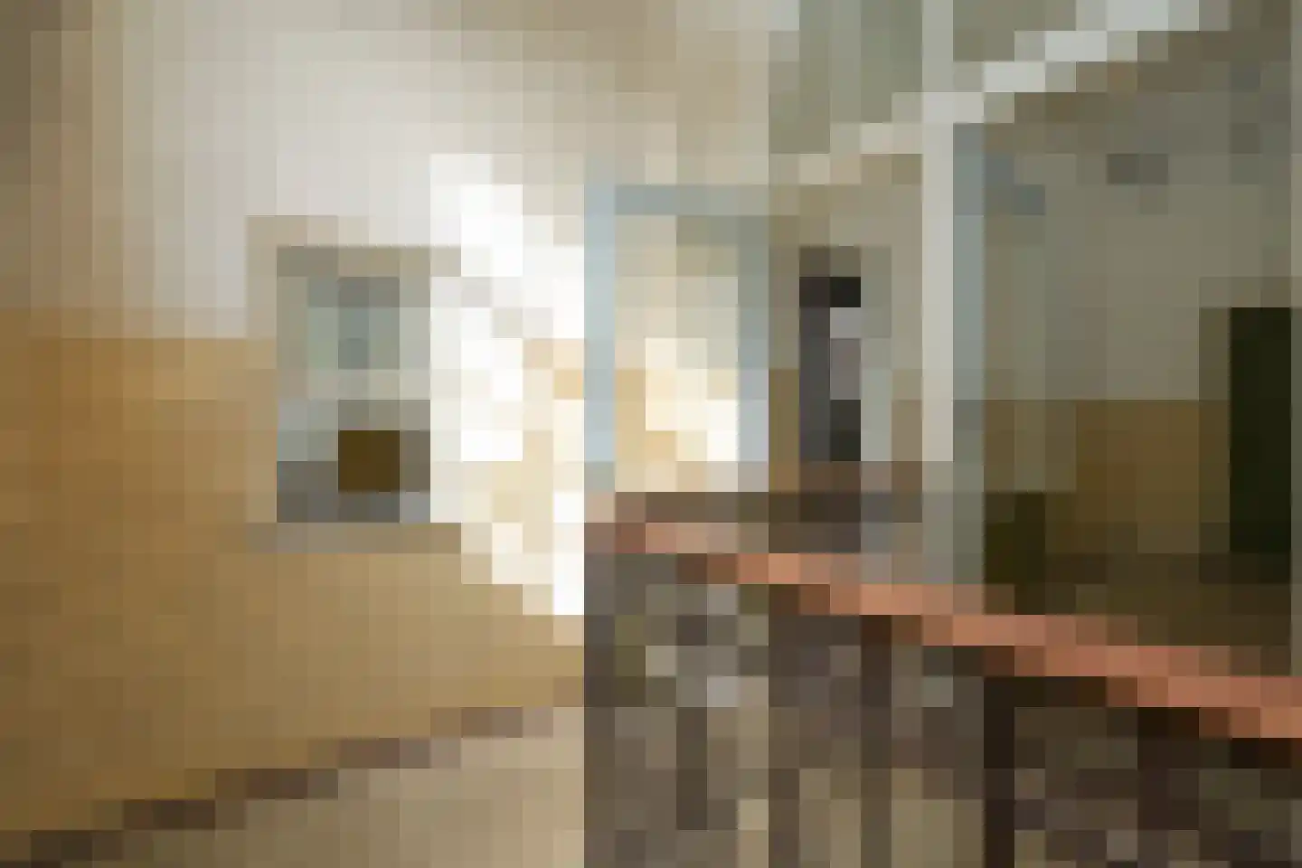 Doornstraat 3 Den Haag thumbnail 15