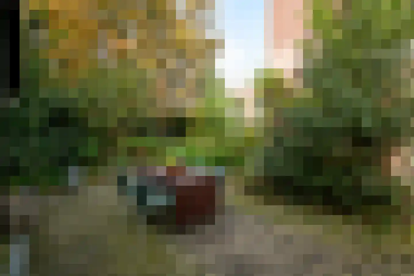 Doornstraat 3 Den Haag thumbnail 23