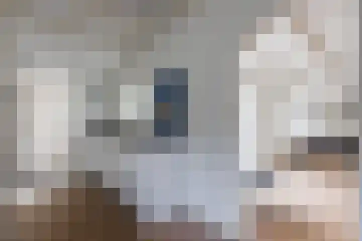 Doorntjes 10 Bergen (NH) thumbnail 13