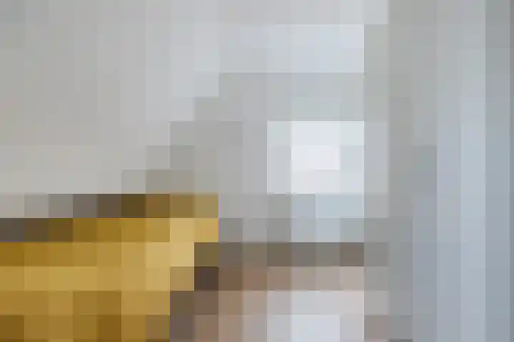 Doorntjes 10 Bergen (NH) thumbnail 28