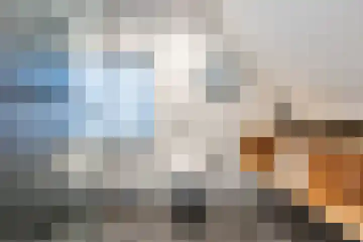 Doorntjes 10 Bergen (NH) thumbnail 32