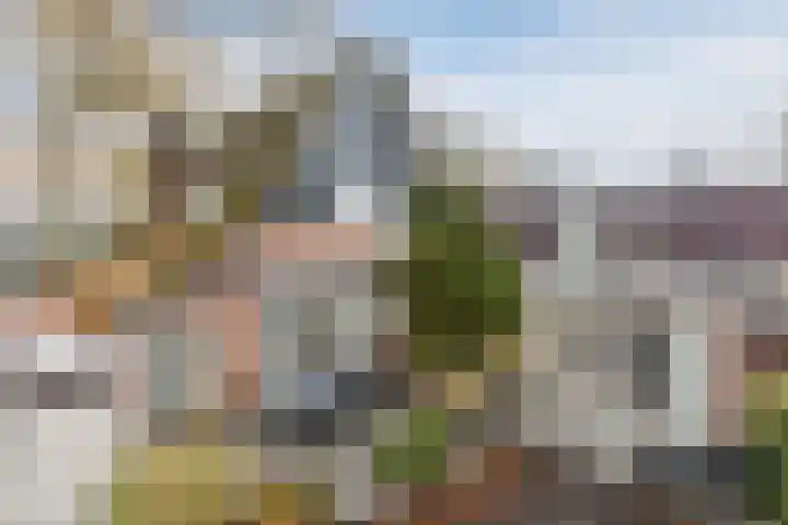 Doorntjes 10 Bergen (NH) thumbnail 37