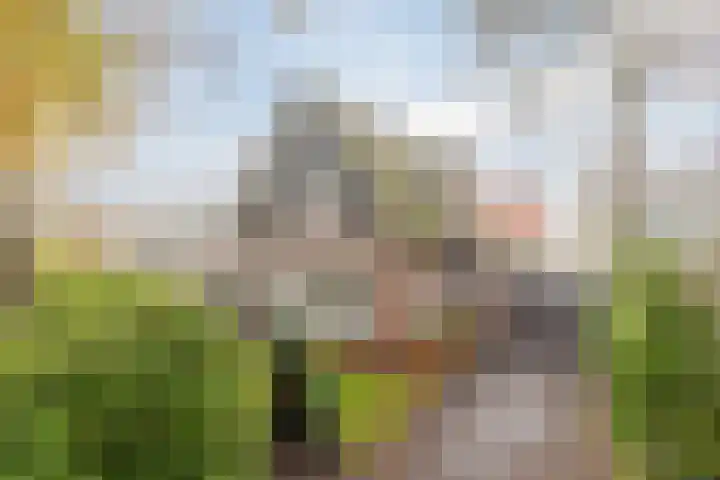 Doorntjes 10 Bergen (NH) thumbnail 43
