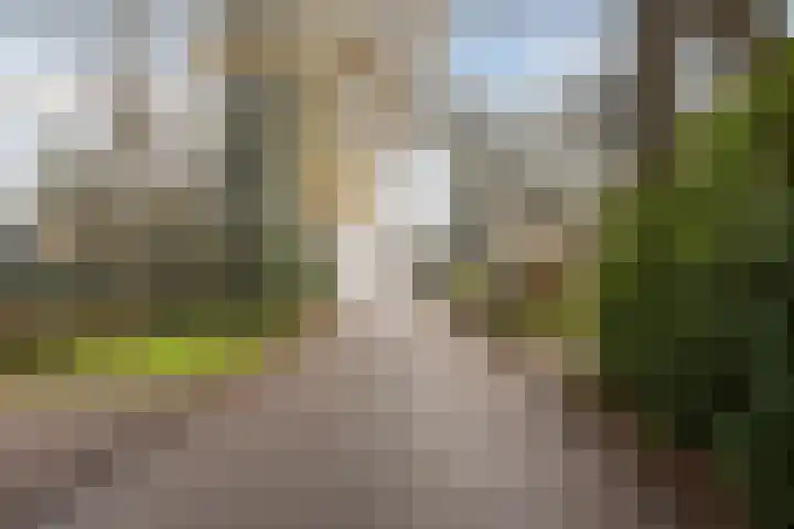Doorntjes 10 Bergen (NH) thumbnail 47