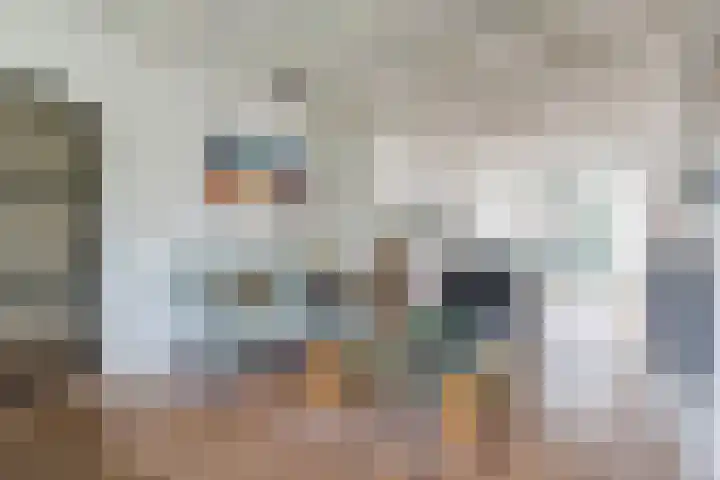 Doorntjes 10 Bergen (NH) thumbnail 6