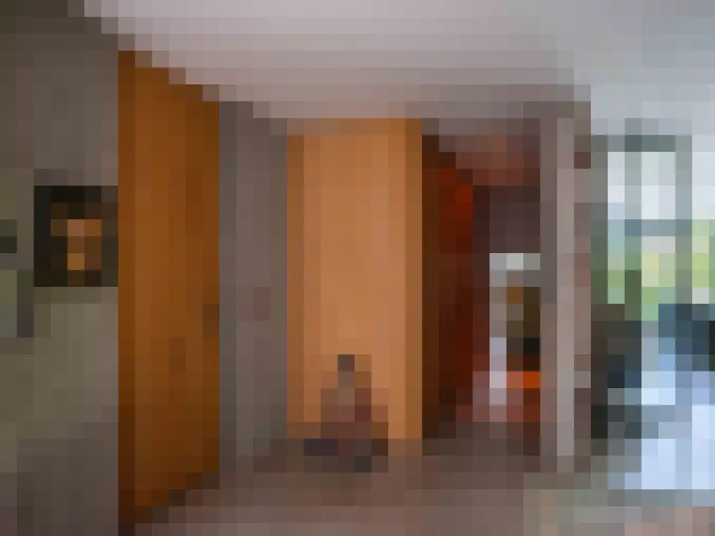 Doorntjes 38 Bergen (NH) thumbnail 10