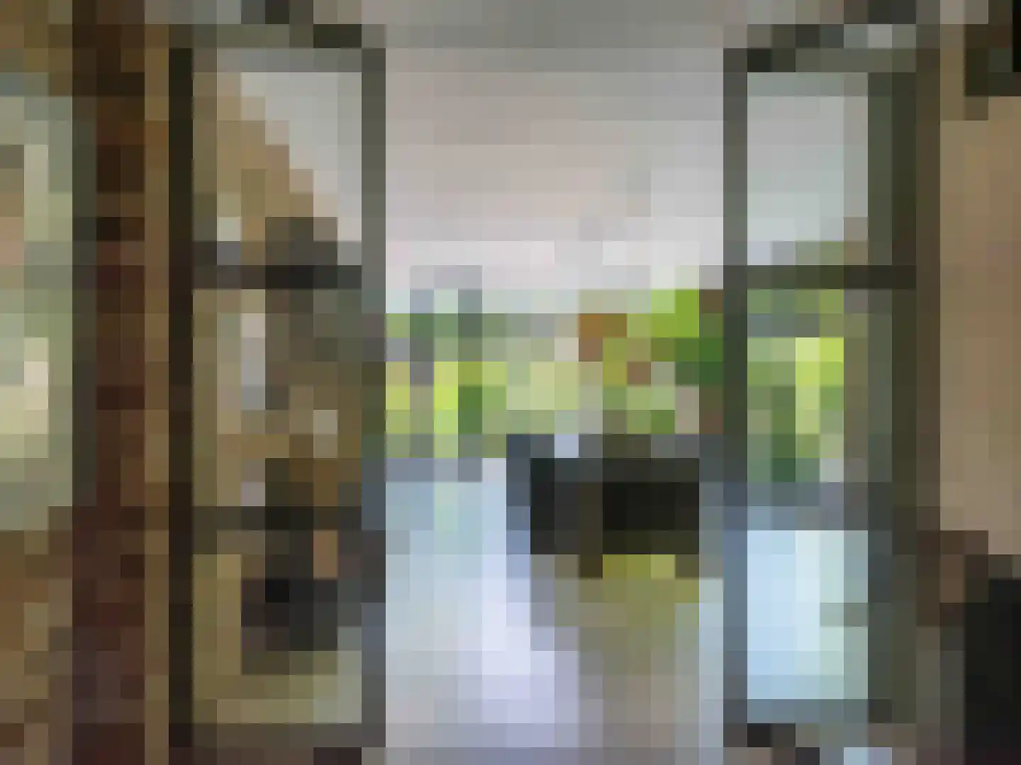 Doorntjes 38 Bergen (NH) thumbnail 11