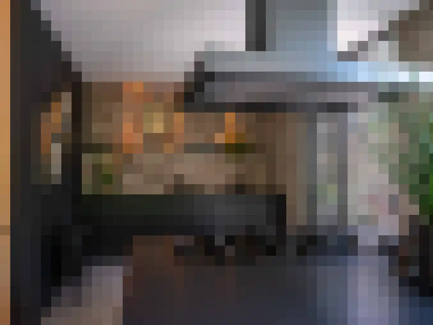 Doorntjes 38 Bergen (NH) thumbnail 17
