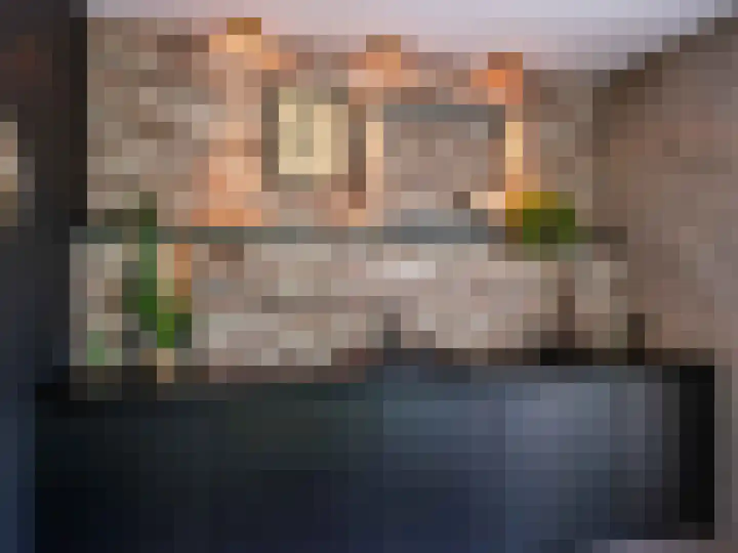 Doorntjes 38 Bergen (NH) thumbnail 18