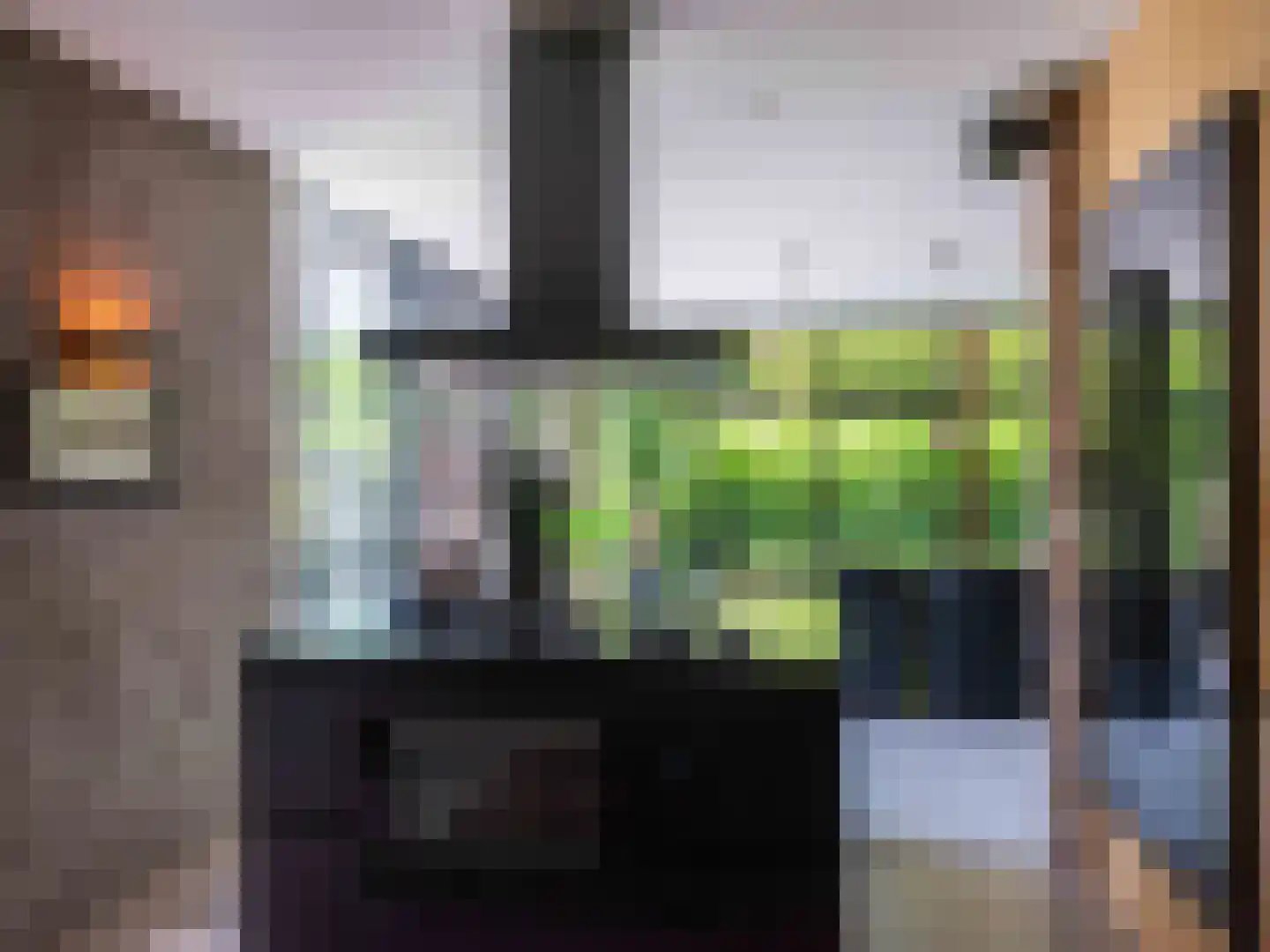 Doorntjes 38 Bergen (NH) thumbnail 19
