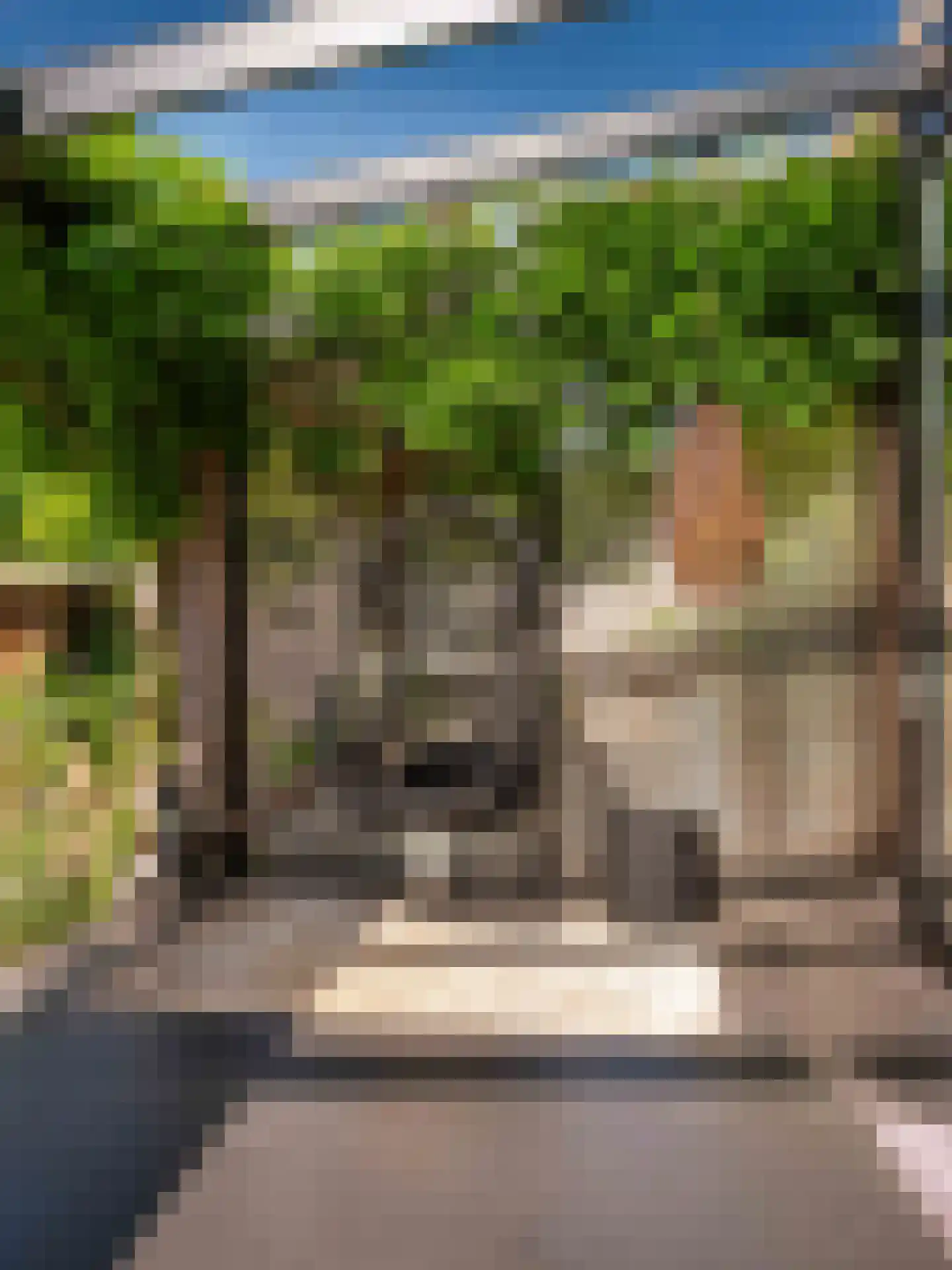 Doorntjes 38 Bergen (NH) thumbnail 23