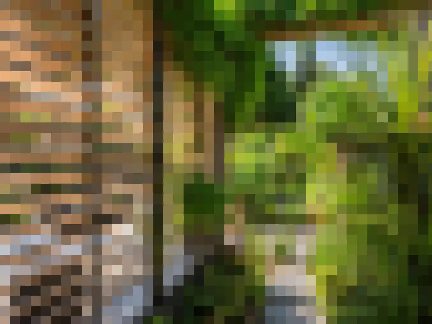 Doorntjes 38 Bergen (NH) thumbnail 24