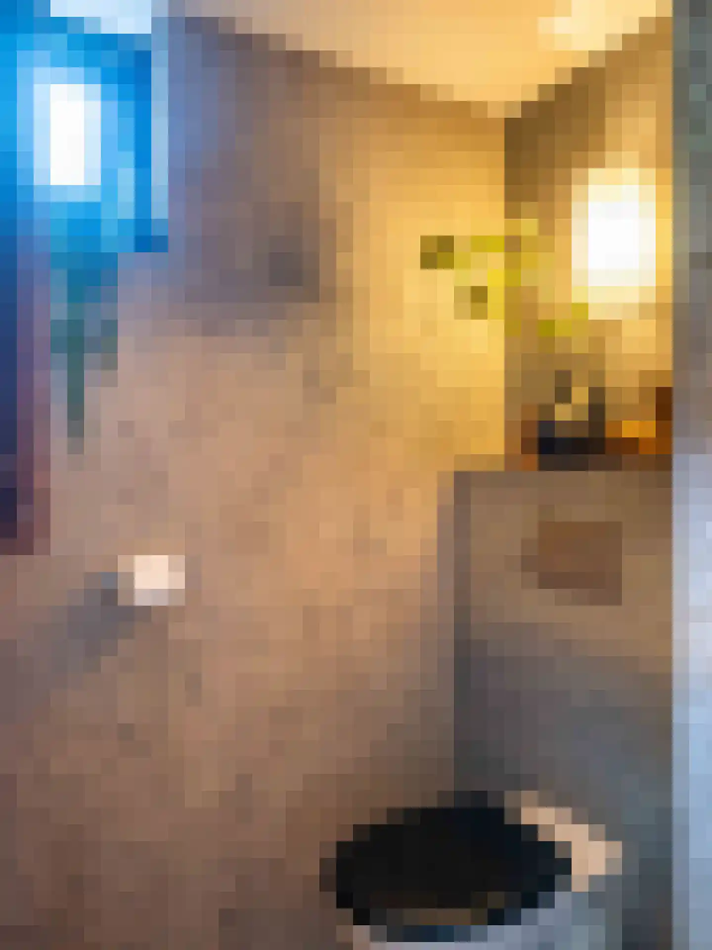 Doorntjes 38 Bergen (NH) thumbnail 26