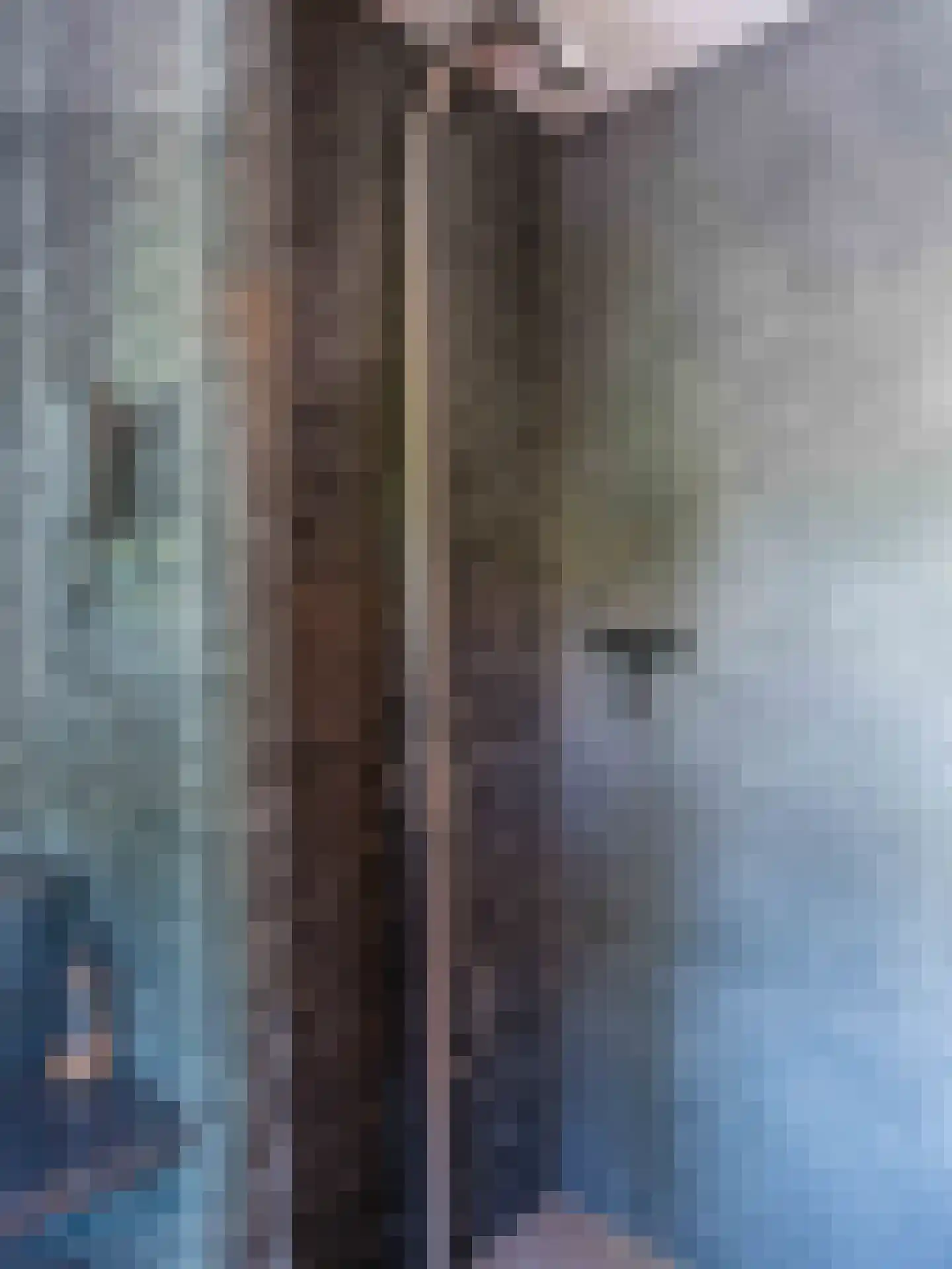 Doorntjes 38 Bergen (NH) thumbnail 30