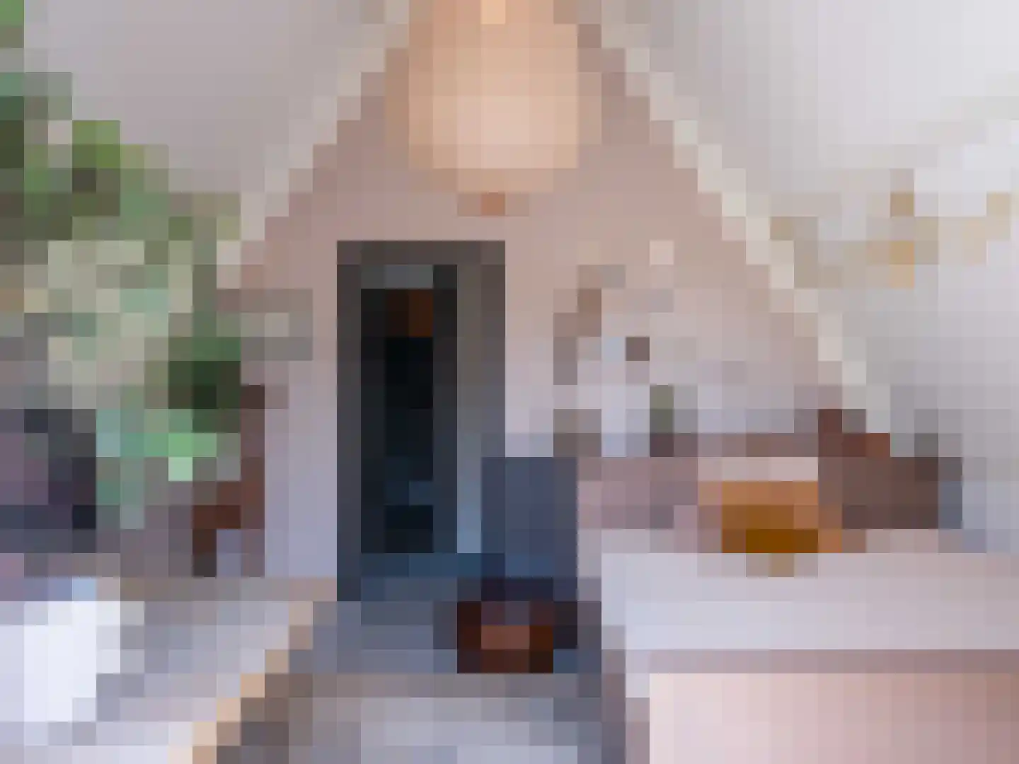 Doorntjes 38 Bergen (NH) thumbnail 32