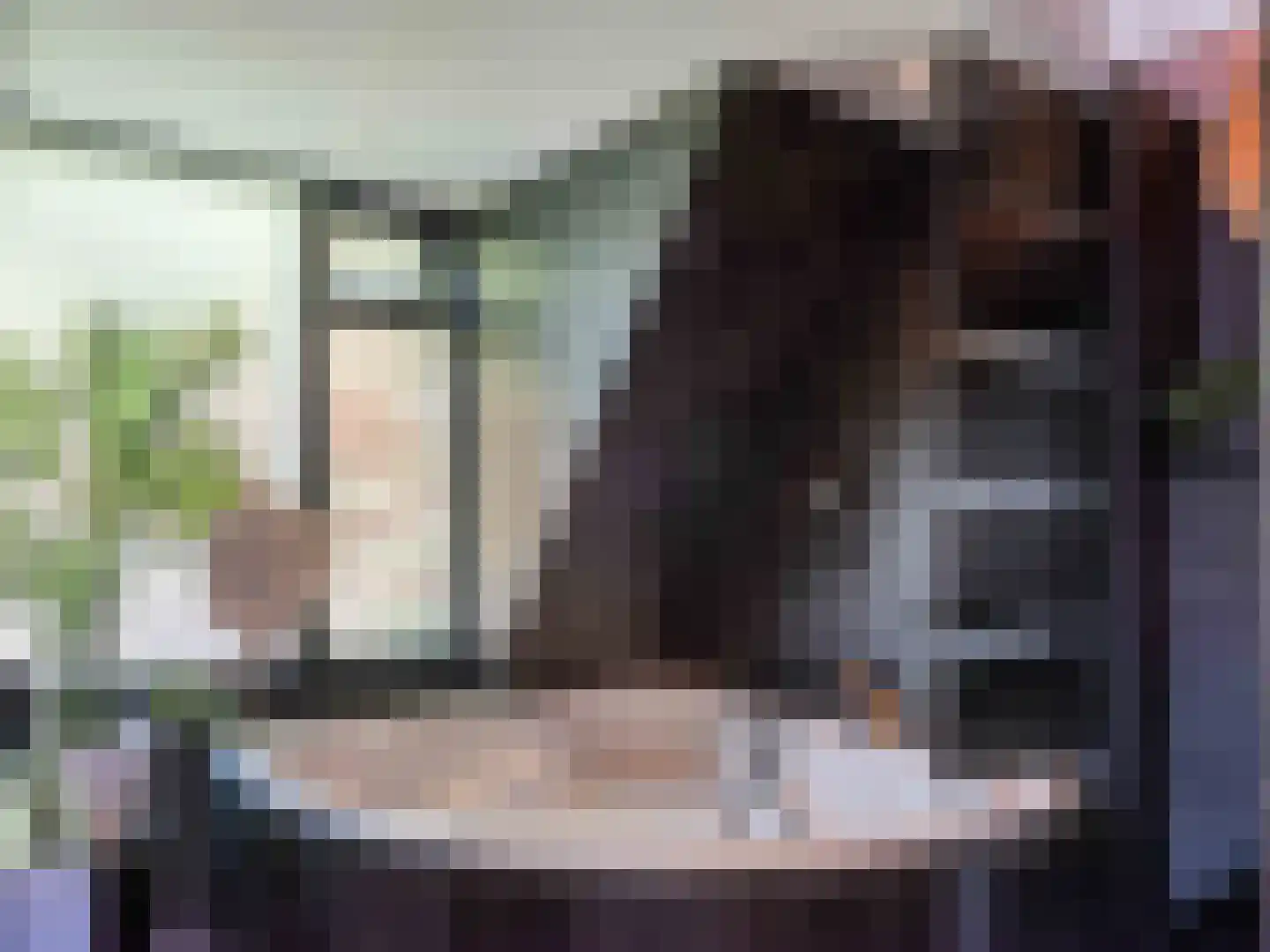 Doorntjes 38 Bergen (NH) thumbnail 35