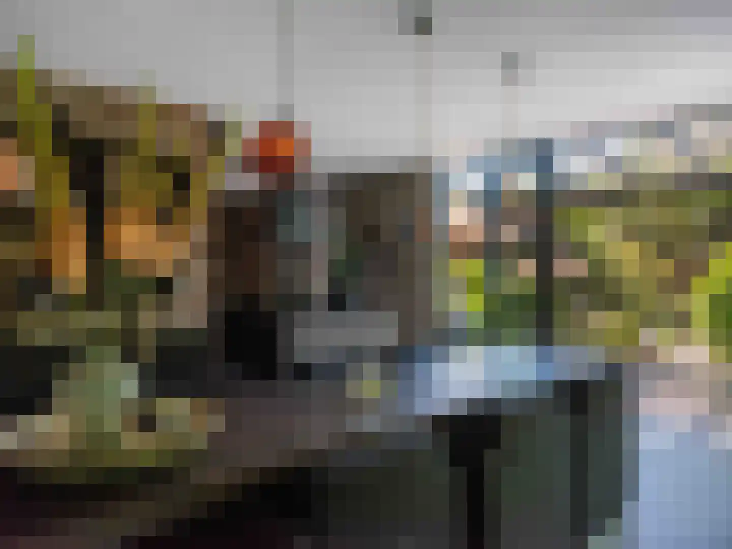 Doorntjes 38 Bergen (NH) thumbnail 5