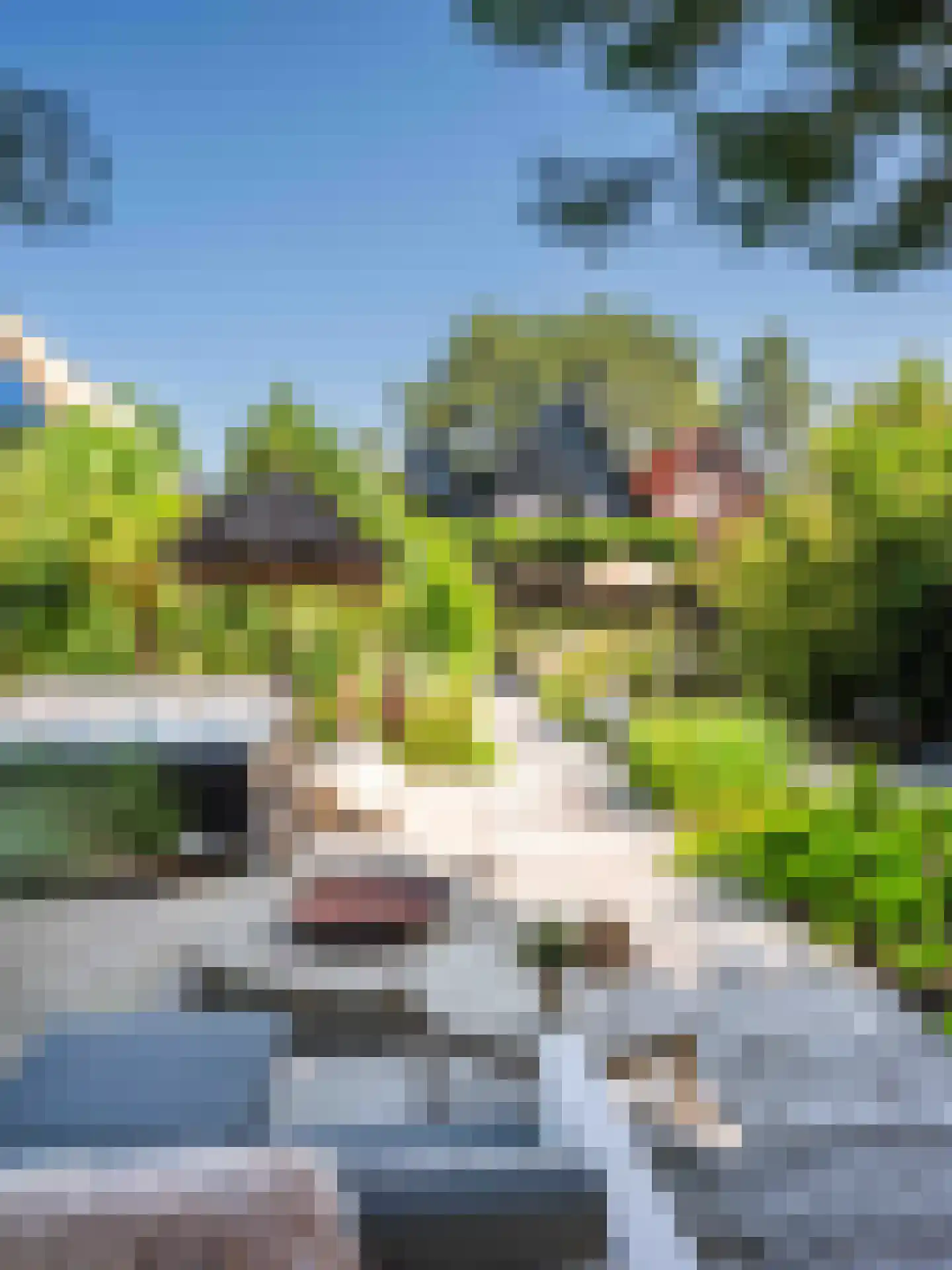 Doorntjes 38 Bergen (NH) thumbnail 52