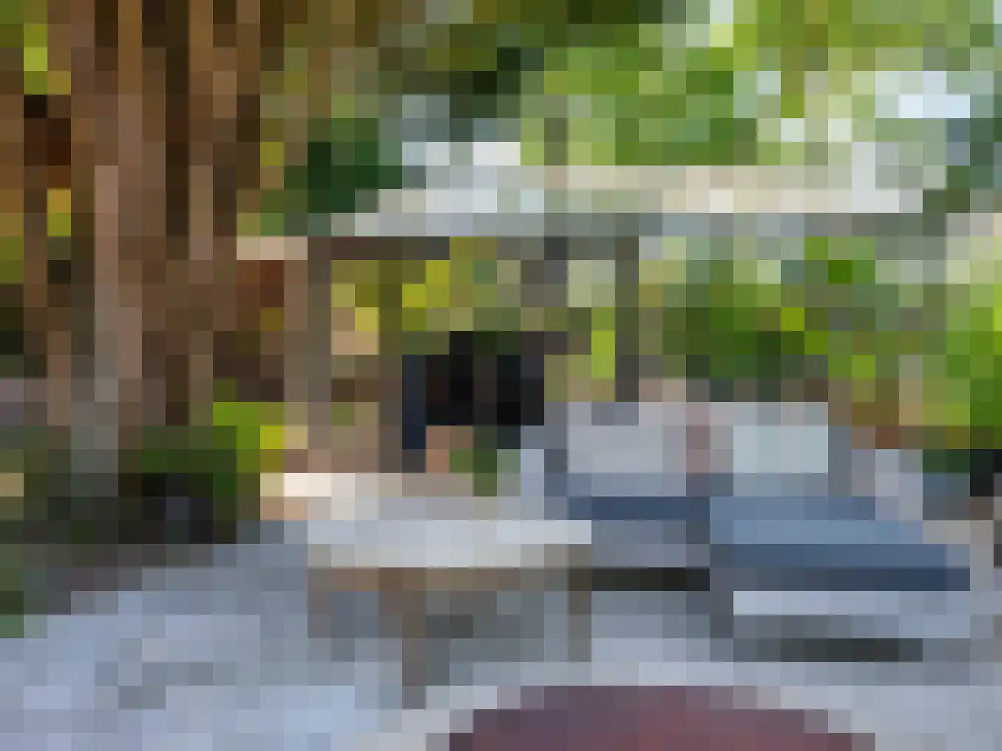 Doorntjes 38 Bergen (NH) thumbnail 58