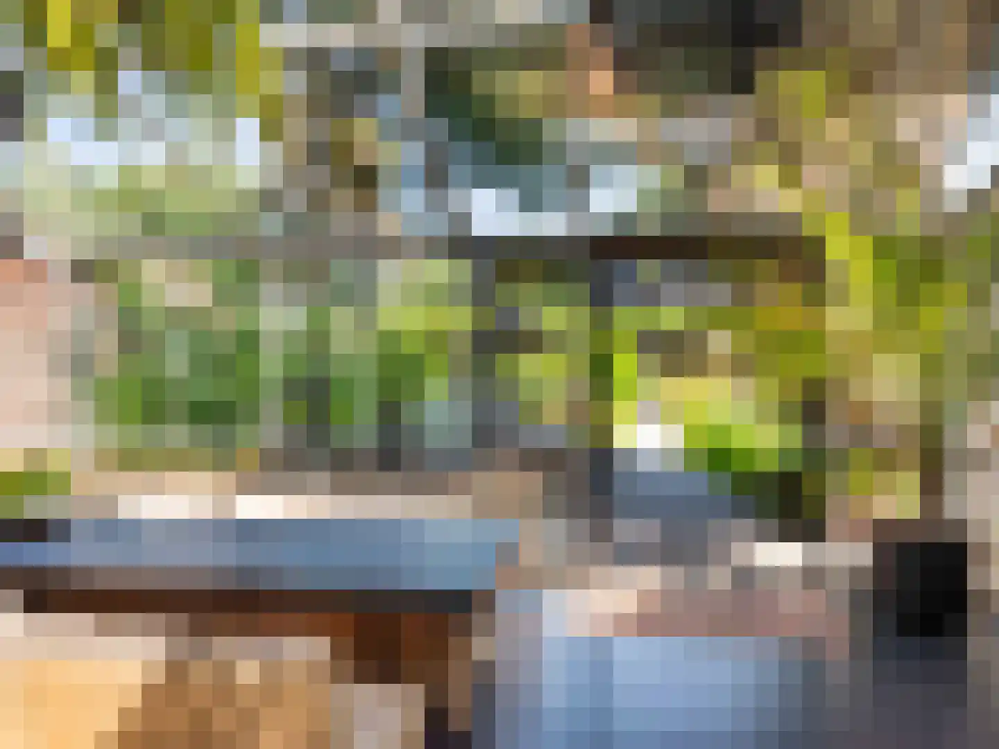 Doorntjes 38 Bergen (NH) thumbnail 63