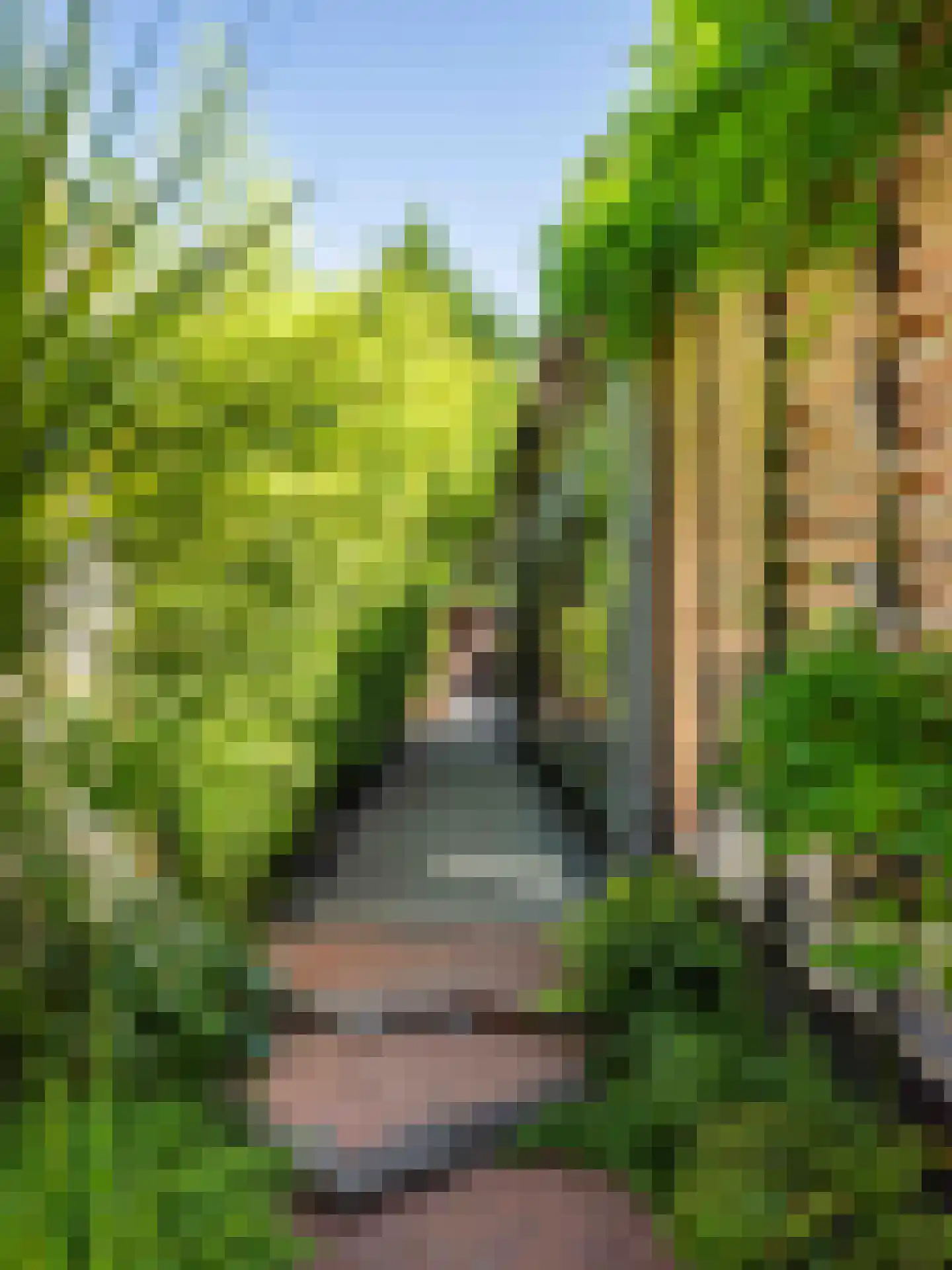 Doorntjes 38 Bergen (NH) thumbnail 65